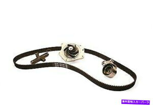 Water Pump 300m�̃E�H�[�^�[�|���v�t���G���W���^�C�~���O�x���g�L�b�g�A�R���R�[�h+���̑���TCKWP295 Engine Timing Belt Kit with Water Pump for 300M, Concorde+More TCKWP295�y���s�A���i�z
