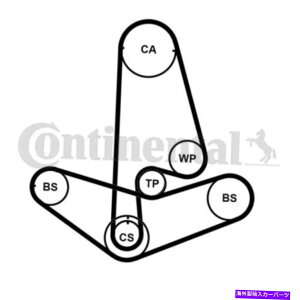 Water Pump EH[^[|vtContitech^C~OxgLbgCT1001WP2Pro Contitech Timing Belt Kit With Water Pump CT1001WP2PRO