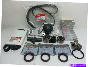 Water Pump {̃^C~OxgEH[^[|vSLbgiz_/ALV6 + NGKvOpj GENUINE TIMING BELT & WATER PUMP COMPLETE KIT (FOR HONDA/ACURA V6 + NGK Plugs)