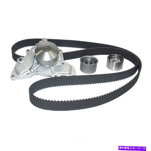 Water Pump �E�H�[�^�[�|���v�t���G���W���^�C�~���O�x���g�L�b�gAirTex AWK1306 Engine Timing Belt Kit with Water Pump Airtex AWK1306�y���s�A���i�z