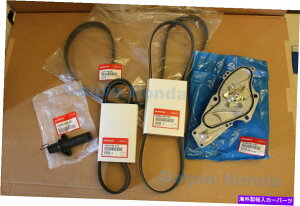 Water Pump �{����OEM�z���_�I�f�b�Z�C�^�C�~���O�x���g�L�b�g2002-2004 Genuine OEM Honda Odyssey Timing Belt Kit 2002-2004�y���s�A���i�z