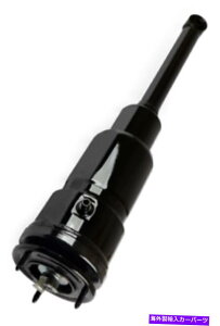 TXyV NTX{OEM 10-12 LS460E㕔EshockzV_[48080-50271 LEXUS GENUINE OEM 10-12 LS460 REAR RIGHT W/SHOCK ABSORBER CYLINDER 48080-50271