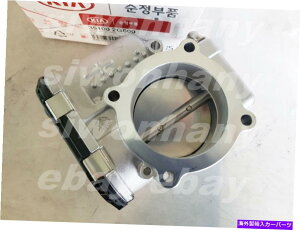 Throttle Body OEM 2.4L-Gasoline�X���b�g���{�f�B�q�����_�C�O�����f���[��Azera HG Azera IG 2015-2019 OEM 2.4L-Gasoline Throttle Body Hyundai Grandeur Azera HG Azera IG 2015-2019�y���s�A���i�z