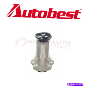 Fuel Pump Module Assembly Autobest F4256AK\^Np̔R|vW[AZuZh Autobest F4256A Fuel Pump Module Assembly for Gas Tank zh