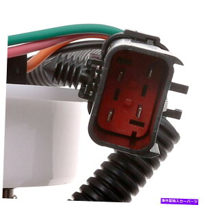 Fuel Pump Module Assembly �R���|���v���W���[���A�Z���u���J�[�^�[P75045M�i13����13,000�}�C���ۏ؁j Fuel Pump Module Assembly Carter P75045M (13 Month 13,000 Mile Warranty)�y���s�A���i�z