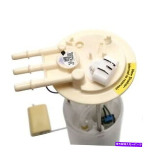 Fuel Pump Module Assembly Cadillac FG0096のDelphi燃料ポンプモジュールアセンブリ Delphi Fuel Pump Module Assembly for Cadillac FG0096