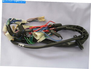 Headlight 06-6438m[gR}hMK3GNgbNX^[g[JXwbhvwbhCgn[lX 06-6438 NORTON COMMANDO MK3 ELECTRIC START LUCAS HEADLAMP HEADLIGHT HARNESS