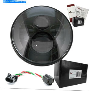 Headlight Eagle Lights Harley 7 "HID LED�d���w�b�h���C�g - �n�[���[ EAGLE LIGHTS HARLEY 7" MOTORCYCLE HID LED LIGHT BULB HEADLIGHT - HARLEY