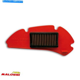 Air Filter スクーターホンダ125 NES @ 2000-2007 1415333のエアフィルターマロッシ Air Filter Malossi for Scooter Honda 125 Nes @ 2000-2007 1415333 Brand New