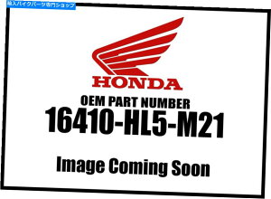 Air Filter Honda 2015-2018 Pioneer SXS Body Set 16410-HL5-M21 NEW OEM Honda 2015-2018 Pioneer SXS Body Set 16410-HL5-M21 New OEM�y���s�A���i�z