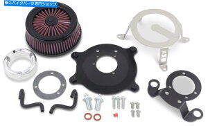 Air Filter n[[frbh\XL 10 X ABSX|[cX^[48-21-22GAN[i[P[WXL Harley Davidson XL 10 X ABS Sportster Forty-Eight 21-22 Air Cleaner Cage Xl