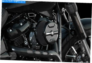 Air Filter A[lX18-342rbOTbJ[Xe[WIGAtB^[Lbg Arlen Ness 18-342 Big Sucker Stage I Air Filter Kit