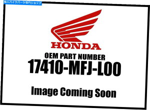 Air Filter Honda 2007-2018 CBro17410-MFJ-L00 NEW OEM Honda 2007-2018 CB Evaporative Emission 17410-MFJ-L00 New OEM