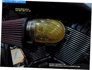Air Filter 3DCh̃I[goCGAN[i[zCtB^[Ch̃`[t2014-Up LED|Cg 3D INDIAN Motorcycle Air Cleaner Intake Filter Indian Chief 2014-up LED Point