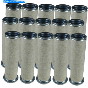 Air Filter 15{̃IWi}tB^[ZJ_GAtB^[CF 840 15x Original MANN-FILTER Secondary Air Filter Cf 840