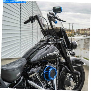 Air Filter A[lXu[\bhGAN[i[tB^[Lbg00-17n[[_Cic[OFLD FLHX Arlen Ness Blue Method Air Cleaner Filter Kit 00-17 Harley Dyna Touring FLD FLHX