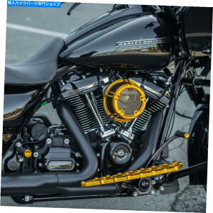 Air Filter A[lXS[h\bhGAN[i[tB^[08-17n[[c[O\tgACFLHR FLS Arlen Ness Gold Method Air Cleaner Filter 08-17 Harley Touring Softail FLHR FLS