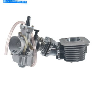 Carburetor Part Dio Reed Valve KitLu^[V_[66cc 88cc 2Xg[NGWd Dio Reed Valve Kit Carburetor & Cylinder 66cc 80cc 2 Stroke Engine Motorized