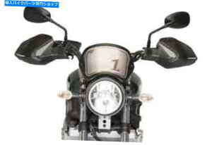 Graphics decal kitFairings �� /�t���C�X�N���[���C���f�B�A��FTR 1200 / s 2019 �J�[�{�����b�N�v�C�O WIND / FLY SCREEN INDIAN FTR 1200/S 2019 CARBON LOOK PUIG�y���s�A���i�z