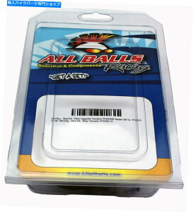 Carburetor ׂẴ{[[VOLu^[č\zLbg}nXV 1600 A 2ChX^[ABS 2002 All Balls Racing Carburetor Rebuild Kit Yamaha XV 1600 A 2 WILD STAR ABS 2002