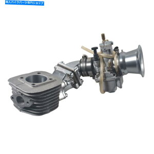 Carburetor Dio Reed Valve KitLu^[V_[66/80cc 2Xg[NGWd] Dio Reed Valve Kit Carburetor Cylinder 66/80cc 2 Stroke Engine Motorized Bike