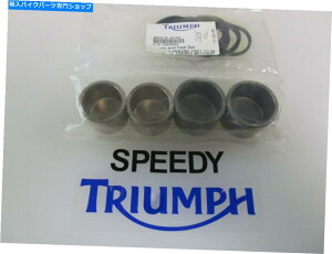 Brake Pads Triumph Tiger 1050 Tiger Sport Front Caliper Piston��Seal Kit T2020890 TRIUMPH TIGER 1050 TIGER SPORT FRONT CALIPER PISTON & SEAL KIT T2020890�y���s�A���i�z