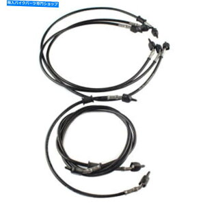 Hoses Lexmoto Pegasus 300���[��5 TR300T-P-E5/PEGASUS 300 TR300T-P�̃u���[�L�z�[�X�L�b�g Brake Hose Kit for Lexmoto Pegasus 300 Euro 5 TR300T-P-E5/Pegasus 300 TR300T-P�y���s�A���i�z