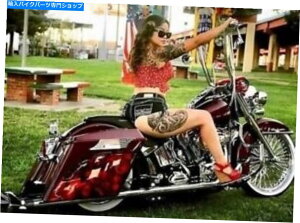 Hoses [hLOABStgu[LC+8XeX|ObhbWn[[2008 FLHR/C Road King ABS Front Brake Line +8 Stainless Steel Goodridge Harley 2008 FLHR/C