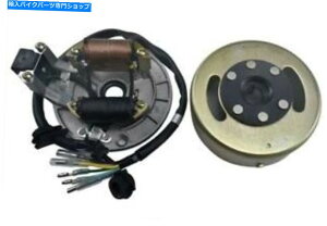 Magnetos 2RCCOjbV}OlgXe[^[v[gtCzC[125 140ccsbgoCNCtSSR 2-Coil Ignition Magneto Stator Plate Flywheel For 125 140cc Pit Bike Lifan SSR