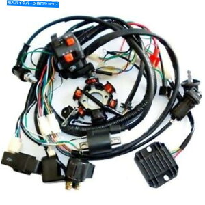 Magnetos ���S�ȓd�CGY6 110cc 125cc 140 150cc���C���[�D�@�}�O�l�g�X�e�[�^�[ATV Quad COMPLETE ELECTRICS GY6 110CC 125CC 140 150CC WIRE LOOM MAGNETO STATOR ATV QUAD�y���s�A���i�z