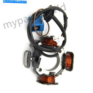 Magnetos XYL}OlgWFl[^[GWXe[^[pRCLTZ90 Quadsport Z90 LTZ90Z For Suzuki Magneto Generator Engine Stator Coil LTZ90 Quadsport Z90 LTZ90Z