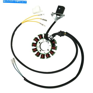 Magnetos 12RC5C|[Xe[^[}OlbgATV TAOTAO 300 A 300SbJ[gNbh 12 COIL 5 WIRES POLE STATOR MAGNETO FOR CHINESE ATV TAOTAO 300 A 300 Gokart Quad