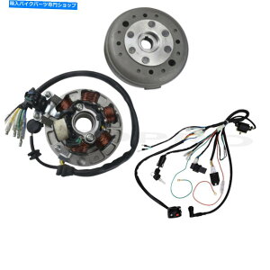 Magnetos 6�R�C���}�O�l�g�X�e�[�^�[�t���C�z�C�[�����C���[�n�[�l�XLifan 140cc 125cc�s�b�g�o�C�NSSR YX 6 Coil Magneto Stator Flywheel Wiring Harness Lifan 140cc 125cc Pit Bike SSR YX�y���s�A���i�z