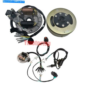Magnetos �}�O�l�g�X�e�[�^�[�t���C�z�C�[�����[�^�[2�S�[�J�[�g�_�[�g�o�C�NATV�̂��߂̃R�C�����C���[�n�[�l�X Magneto Stator Flywheel Rotor 2 Coil Wiring Harness for Go Kart Dirt Bike ATV�y���s�A���i�z