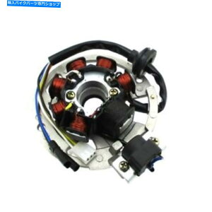 Magnetos 2Xg[ÑCOjbV}OlgXe[^[ETON ARCTIC CAT 50cc 90ccXN[^[ATVNAbh Ignition Magneto Stator For 2 Stroke Eton Arctic Cat 50cc 90cc Scooter ATV Quad