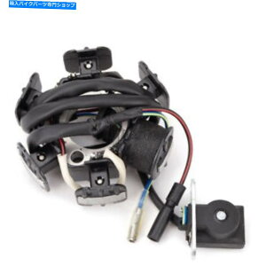 Magnetos 1 xz_XR100R 1992-2003 CRF100F 2004-2016p̃}OlgWFl[^[Xe[^[RC 1 X Magneto Generator Stator Coil For Honda XR100R 1992-2003 CRF100F 2004-2016