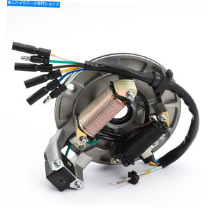 Magnetos }OlgXe[^[COjbVRC[^[XN[^[50cc 70cc 90cc 110cc 125cc taotao Magneto Stator Ignition Coil Rotor Scooter for 50cc 70cc 90cc 110cc 125cc Taotao