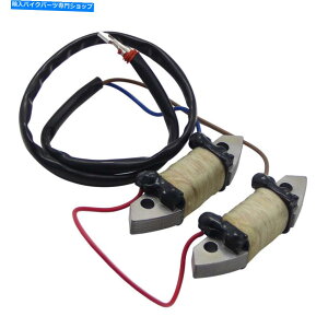 Magnetos ���}�nM�iw/t�jHS/L 40x 40hp 66T-85520-00 E40X�p�}�O�l�g�W�F�l���[�^�[�X�e�[�^�[�R�C�� Magneto Generator Stator Coil for Yamaha M(W/T)HS/L 40X 40hp 66T-85520-00 E40X�y���s�A���i�z