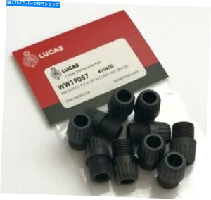 Magnetos Lucas10Acorn Top Nut Lu410600pbNsbNAbv܂ LUCAS PICK UP ACORN TOP NUT LU410600 PACK OF 10