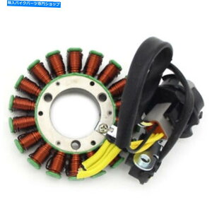 Magnetos Sea-Doo 951 RX 951 XP 951 GSX GSX LIMITEDpMagnetoWFl[^[Xe[^[RC Magneto Generator Stator Coil for Sea-Doo 951 RX 951 XP 951 GSX GSX Limited