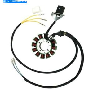 Magnetos 12|[}OlgtCzC[Xe[^[v[g200cc 250cc_[goCNThumpstar Quad Dune 12 Pole Magneto Flywheel Stator Plate 200cc 250cc Dirt Bike Thumpstar Quad Dune