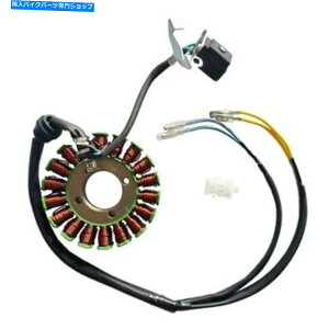 Magnetos 18RC}OlgXe[^[v[g 18 Coil Magneto Stator Plate For CG200 CG250 200cc 250cc ATV Quad Pit Dirt Bike