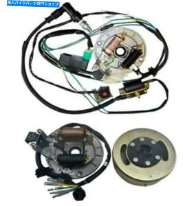 Magnetos LbNX^[gn[lXCDI}OlgXe[^[110cc 125ccsbgoCNA|SSR Kick Start Wiring Harness CDI Magneto Stator for 110cc 125cc Pit Bike Apollo SSR