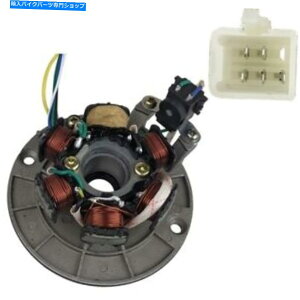 Magnetos 125cc̃Cgt}Olg[Xe[^[140ccA|_[gsbgoCN Magneto Stator W/ Light For 125cc 140cc Apollo Dirt Pit Bike