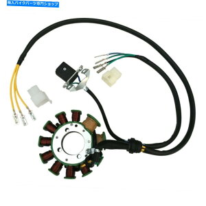 Magnetos 11|[}OlgXe[^[RC200cc 250ccC܂͐␂GWp 11 Pole Magneto Stator Coil for 200cc 250cc Air or Water cooled Vertical Engine