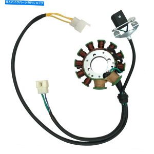 Magnetos 11RC}OlgXe[^[_[goCNATVSJ[gNAbhI[goCoM[ 11 Coil Magneto Stator Dirt Bike ATV Gokart Quad Motorcycle Buggy