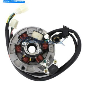 Magnetos 6�R�C���}�O�l�b�g�X�e�[�^�[110cc��2�̃v���O125cc�L�b�N�X�^�[�g�G���W���_�[�g�s�b�g�o�C�N 6 Coils Magneto Stator 2 Plugs for 110cc 125cc Kick Start Engine Dirt Pit Bike�y���s�A���i�z