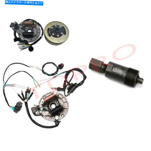 Magnetos ���C���[�n�[�l�X�X�e�[�^�[�}�O�l�g�t���C�z�C�[���L�b�N�X�^�[�g���C�t��SSR 110cc 125cc�s�b�g�o�C�N Wiring Harness Stator Magneto Flywheel Kick Start Lifan SSR 110cc 125cc Pit Bike�y���s�A���i�z