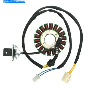 Magnetos 18RC}OlgXe[^[249 250cc 260 279 300ccXN[^[ybggPz_SSR 18 Coil Magneto Stator FOR 249 250cc 260 279 300CC Scooter Moped Trike Honda SSR