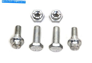 Magnetos }OlgA_v^[v[glWLbǵAn[[_rbh\ɓK܂ Magneto Adapter Plate Screw Kit fits Harley-Davidson